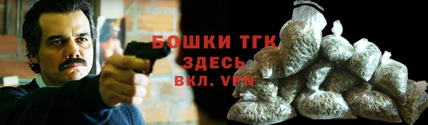 мдма Дмитриев