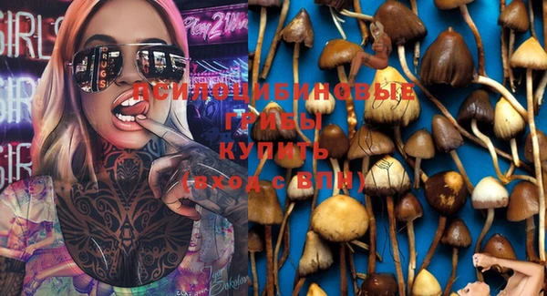 кокаин Дмитров